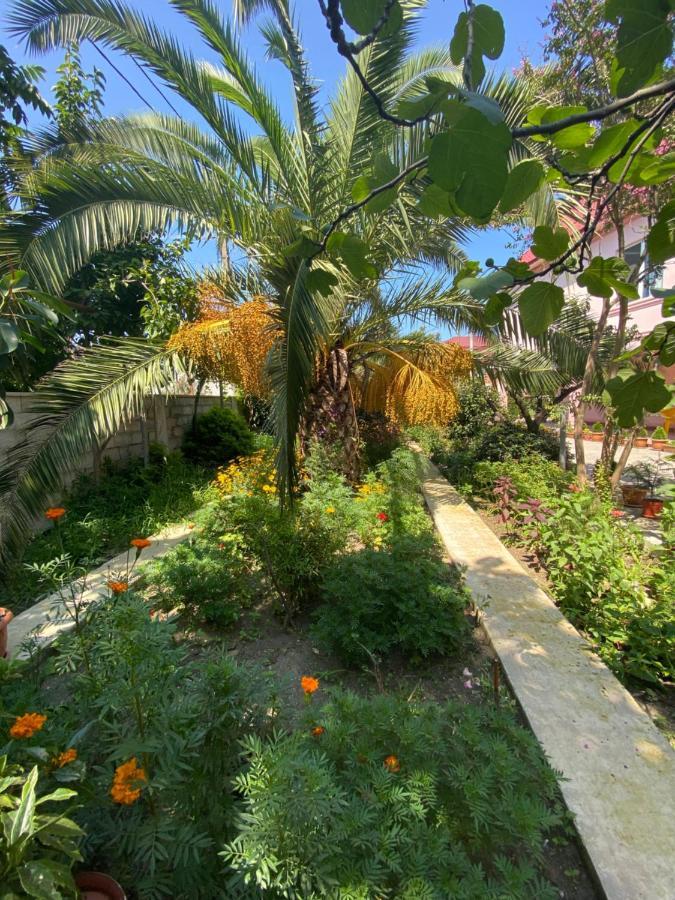 Villa Jakos Paradise Batumi Exterior photo